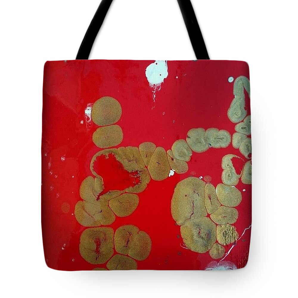 Abstract Tote Bag featuring the painting Pidgeon, Eyeballing A Red Heart by Gyula Julian Lovas