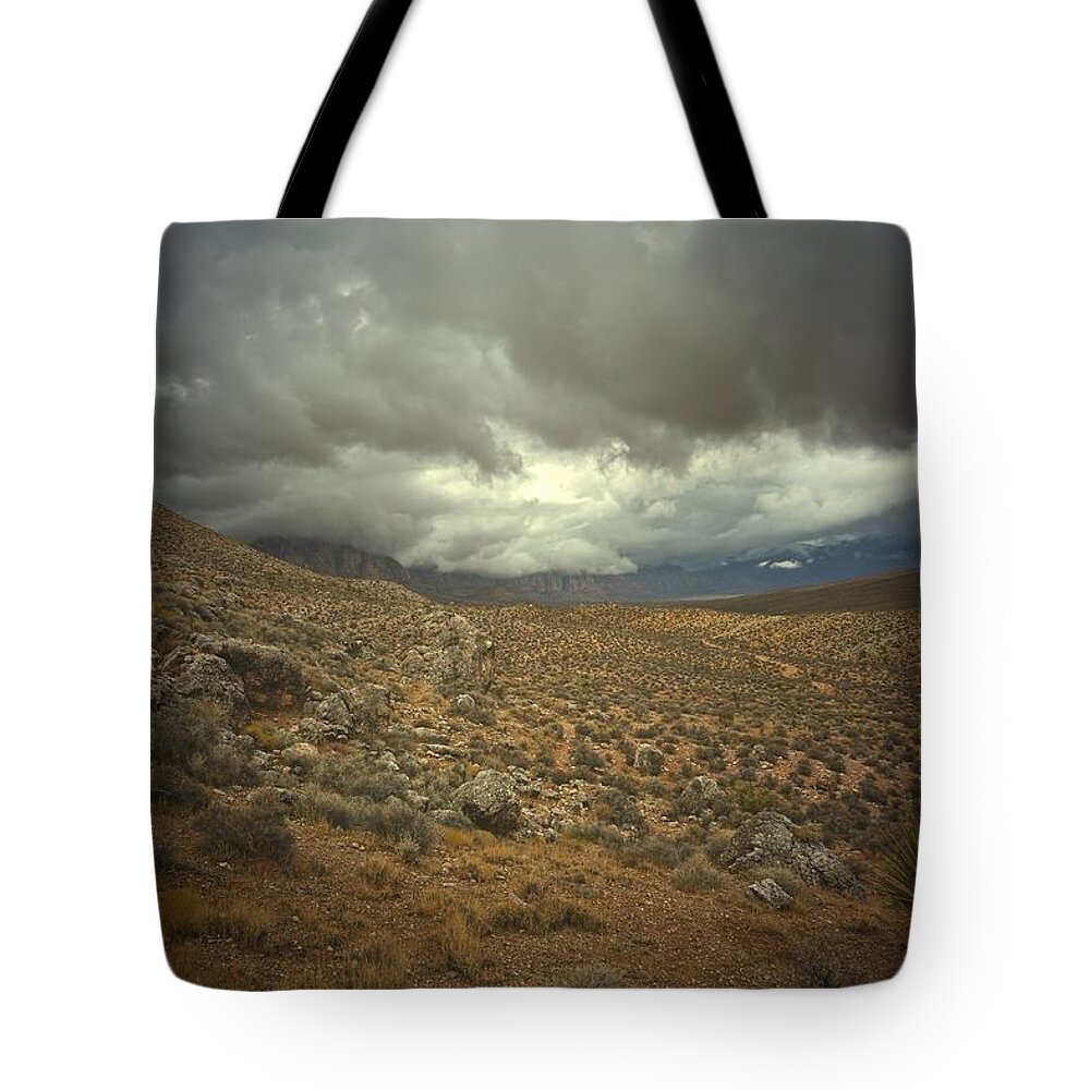 Southwest Tote Bag featuring the photograph Pieces by Mark Ross