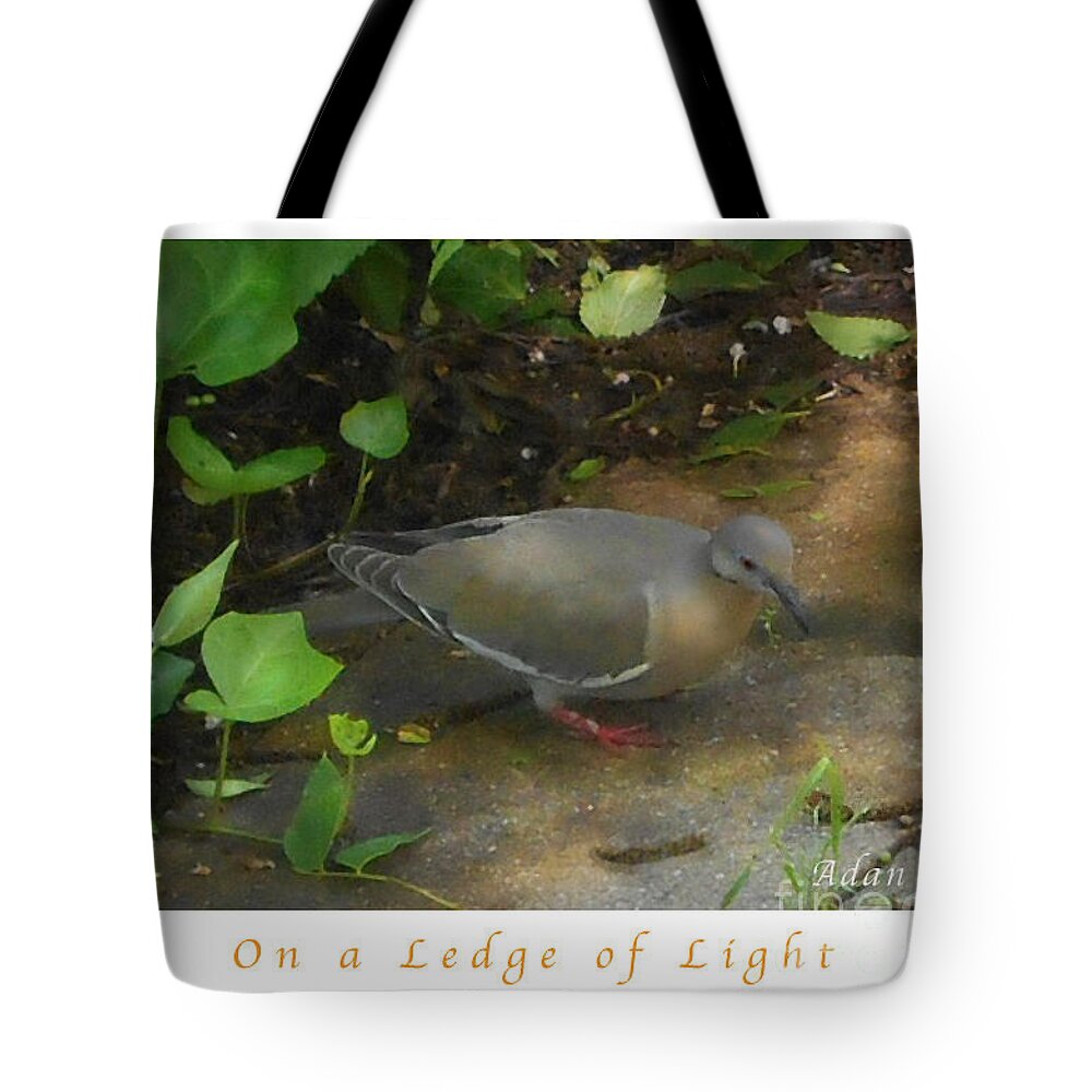 Single Pigeon Tote Bag featuring the photograph Pigeon Poster by Felipe Adan Lerma