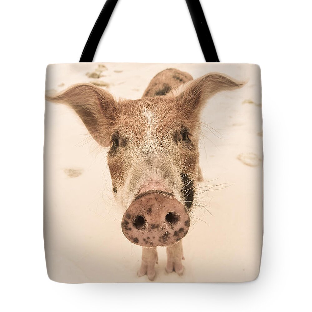 Piglet Tote Bag featuring the photograph Piglet by Craig Gum