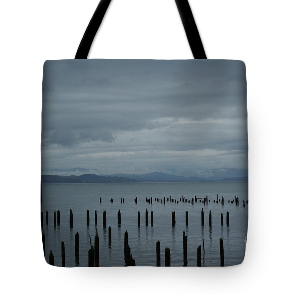 Pilings Tote Bag featuring the photograph Pilings on Columbia River by Suzanne Lorenz