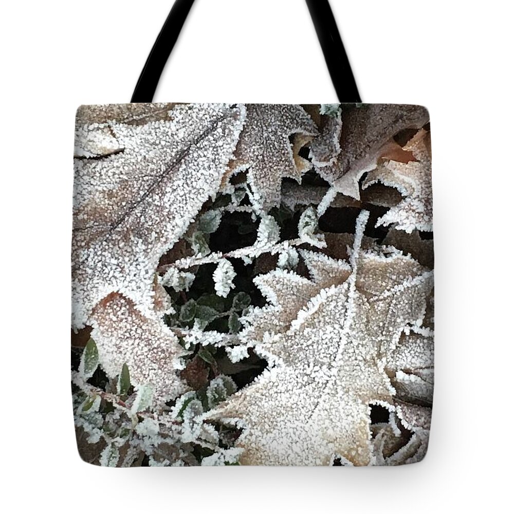 Pin Oak Tote Bag featuring the photograph Pin Oak Leaves 1 by Kathryn Alexander MA