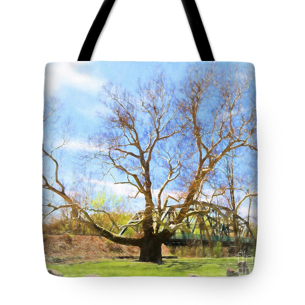 Simsbury Pinchot Painting Landscape Ct Connecticut Sycamore Tree Tote Bag featuring the photograph Pinchot Painting by Lorraine Cosgrove