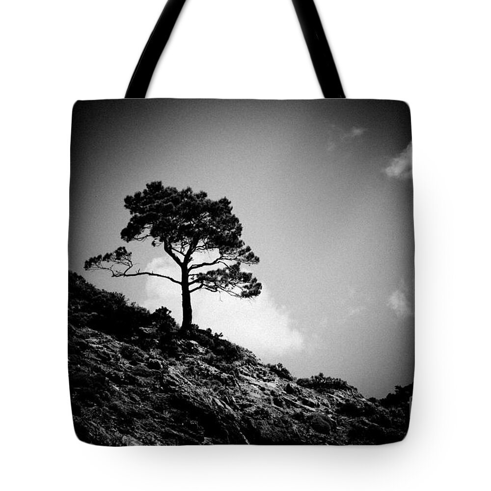 Water Tote Bag featuring the photograph Pine at sky background Artmif.lv by Raimond Klavins