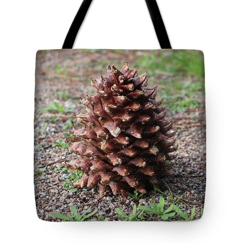 Pine Cone Tote Bag featuring the photograph Pine Cone by Christy Pooschke