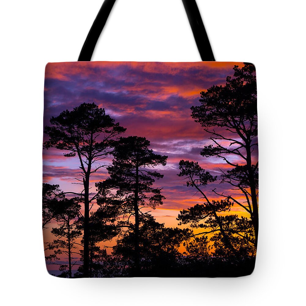 Trees Tote Bag featuring the photograph Pine Forest Sunset by Derek Dean