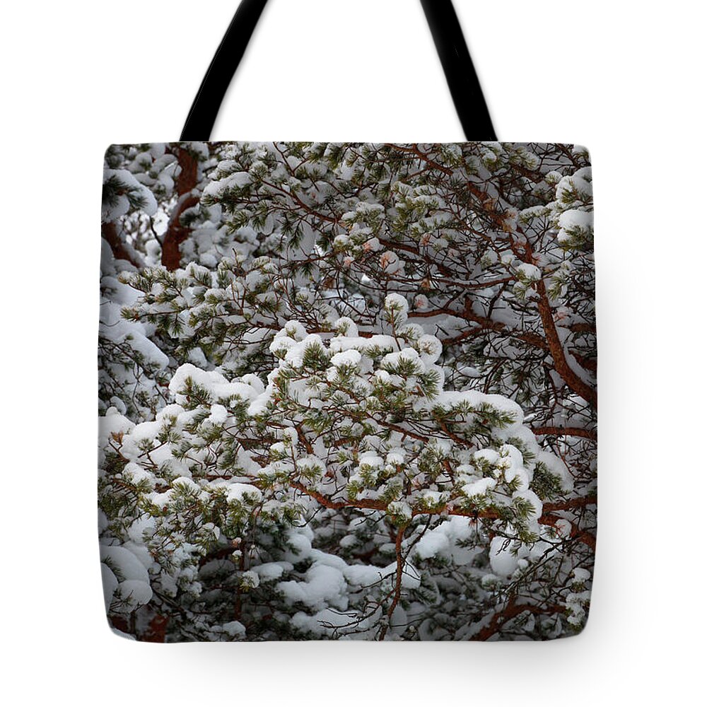 Away From It All Tote Bag featuring the photograph Pine needles covered with snow are forming an intricate pattern by Ulrich Kunst And Bettina Scheidulin