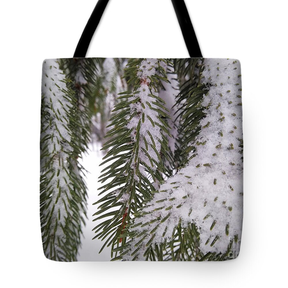 Columbus Tote Bag featuring the photograph Pine Snow by Robert Knight