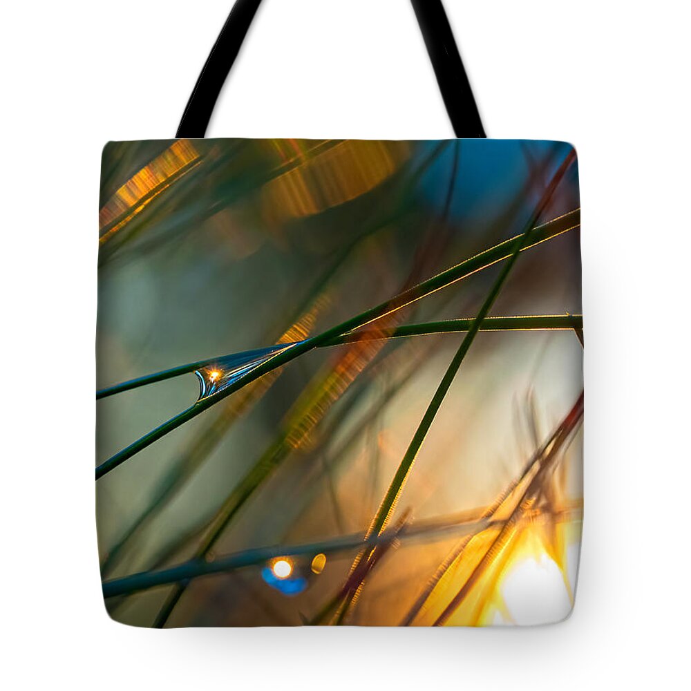 Pinestraw Tote Bag featuring the photograph Pine Needle Sunset by Brad Boland
