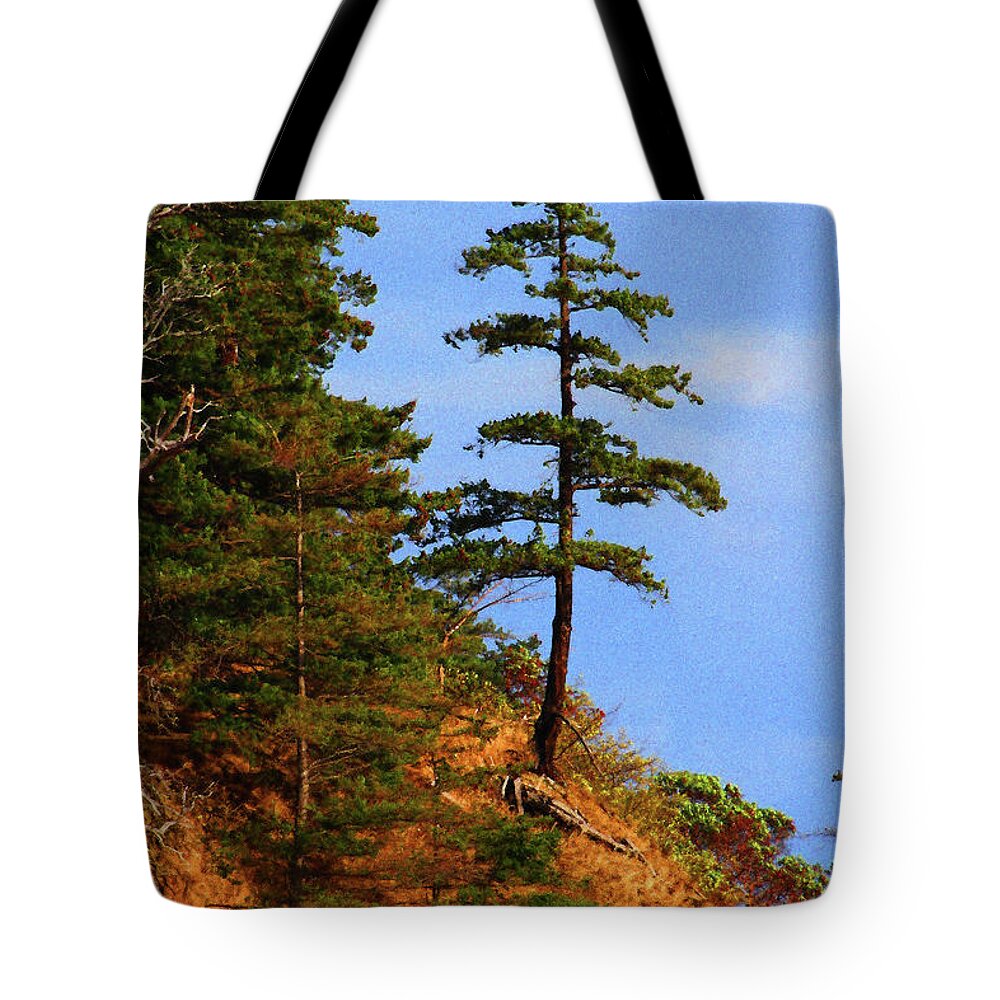 Pine Tree Along The Oregon Coast Tote Bag featuring the digital art Pine Tree Along The Oregon Coast by Tom Janca