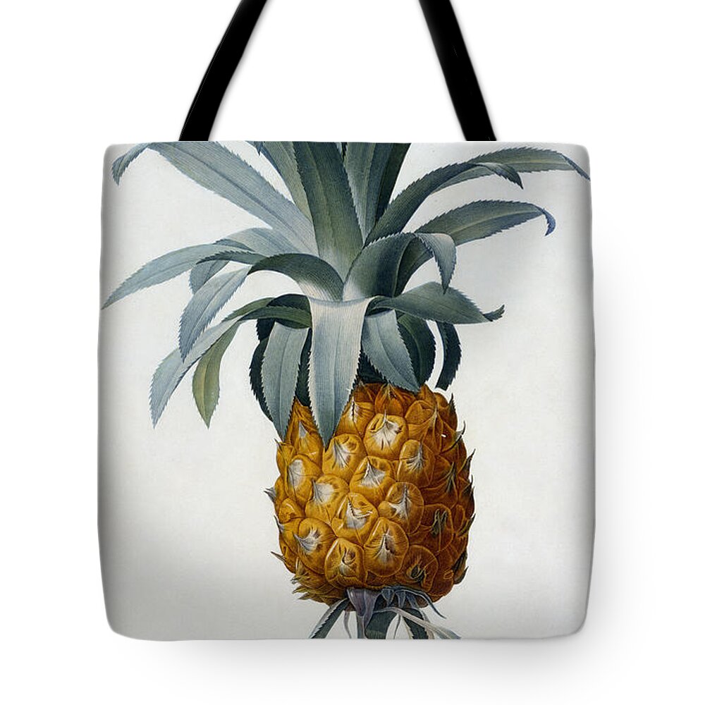 Redoute Tote Bag featuring the painting Pineapple by Pierre Joseph Redoute