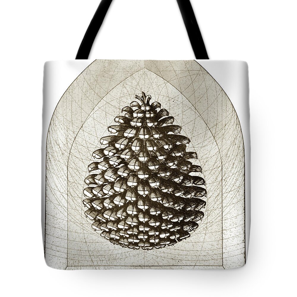Charles Harden Tote Bag featuring the drawing Pine Cone by Charles Harden