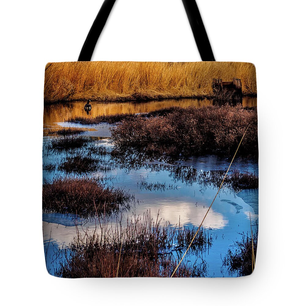 Landscape Tote Bag featuring the photograph Pineland Cloud Reflections by Louis Dallara
