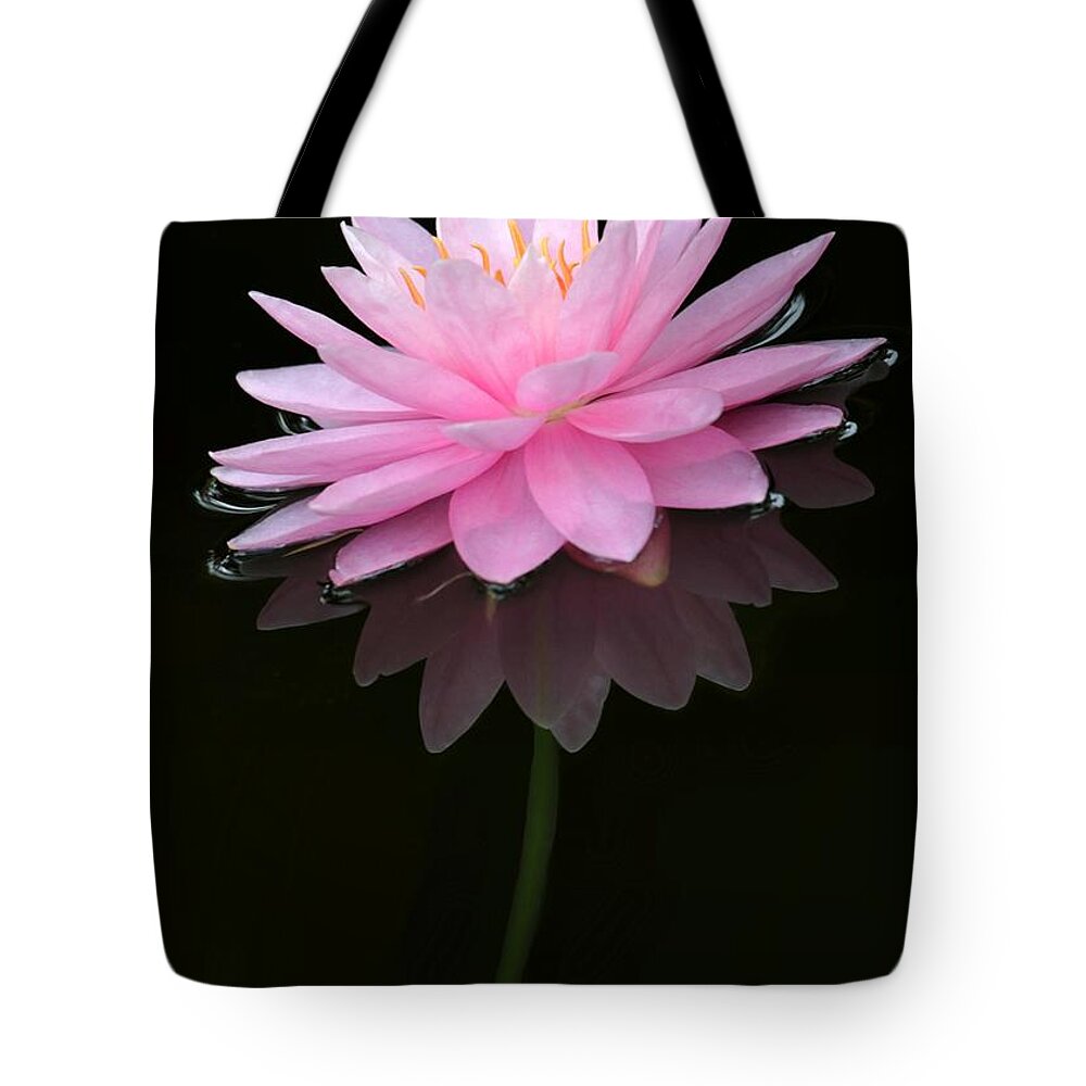 Pink Tote Bag featuring the photograph Pink and Alone by Sabrina L Ryan