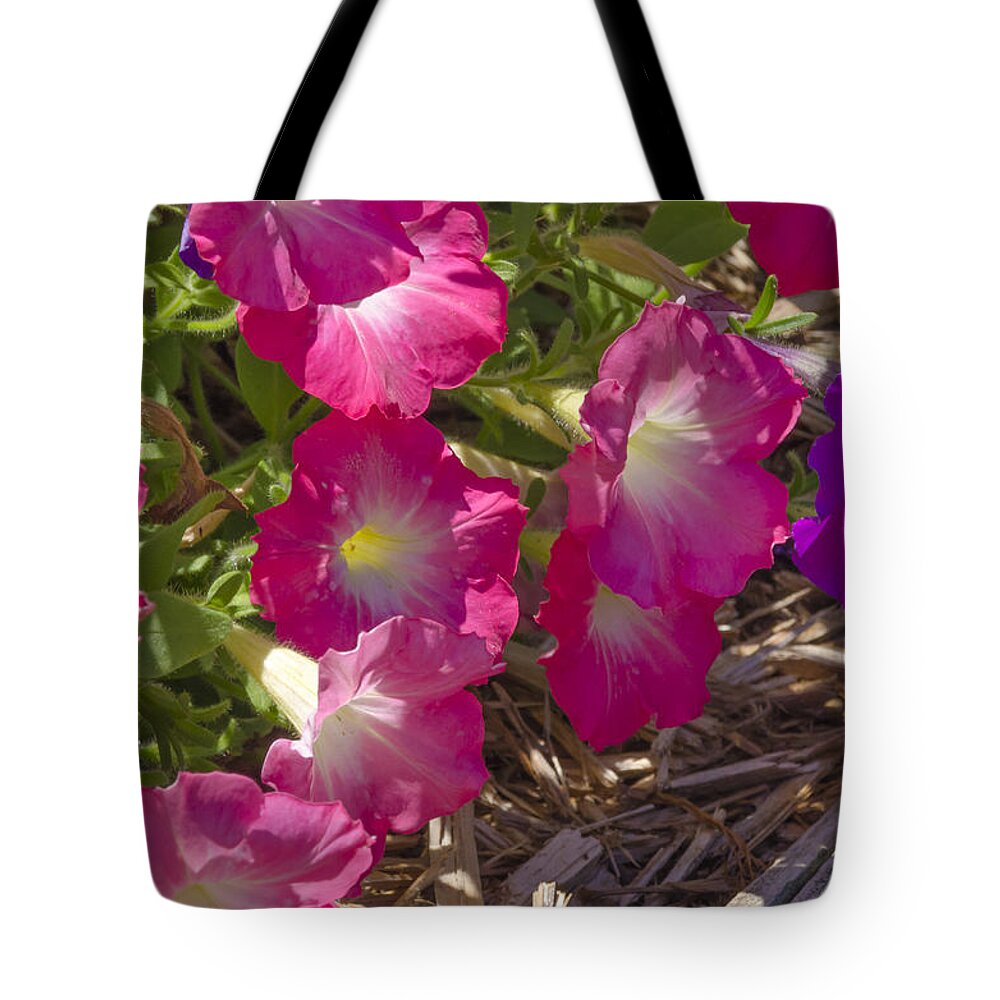 Petunias Tote Bag featuring the photograph Pink and Purple Petunias by Lynn Hansen