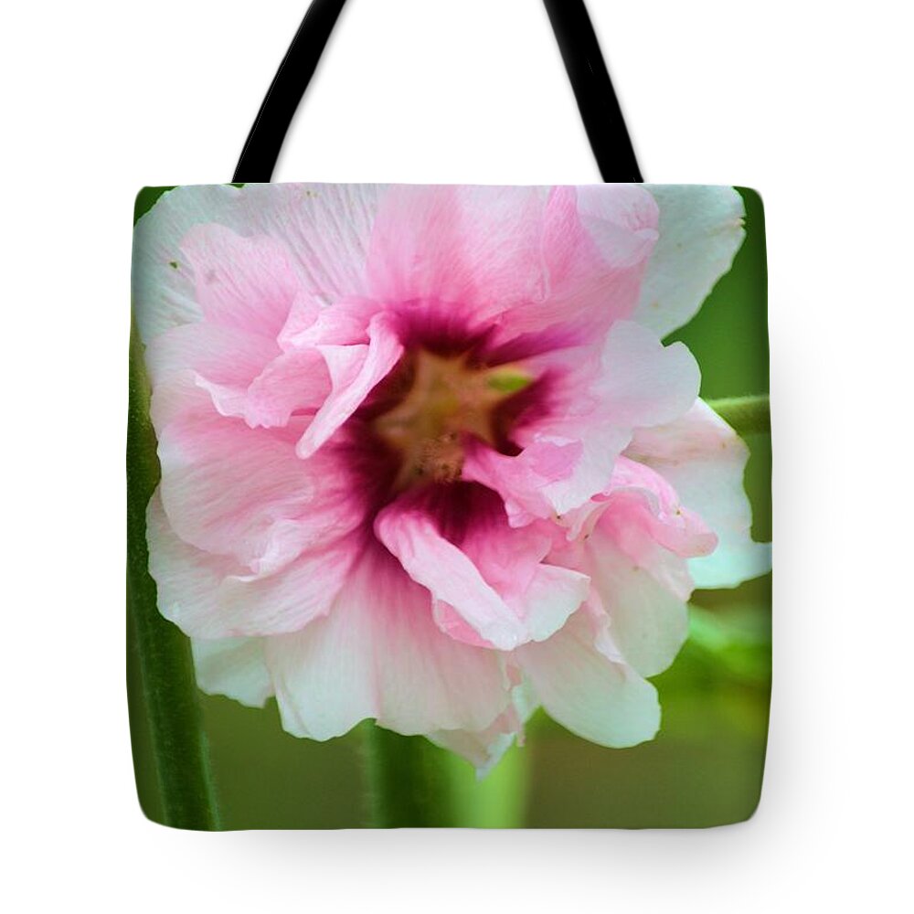 Hollyhock Tote Bag featuring the photograph Pink And Red by Bonfire Photography