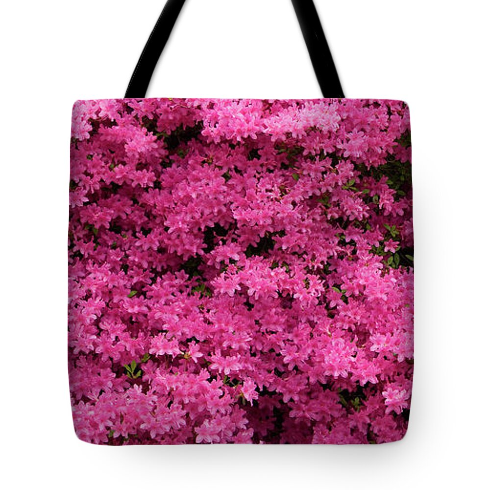 Azaleas Tote Bag featuring the photograph Pink Azaleas Panorama by Jill Lang