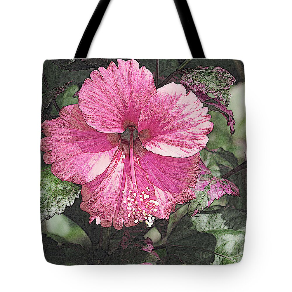 Hibiscus Tote Bag featuring the photograph Pink Beauty by Carol Lloyd