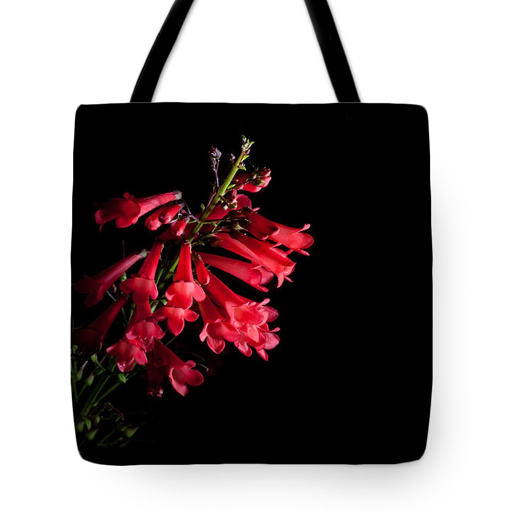Flower Tote Bag featuring the photograph Scarlet Bugler by Eugene Campbell