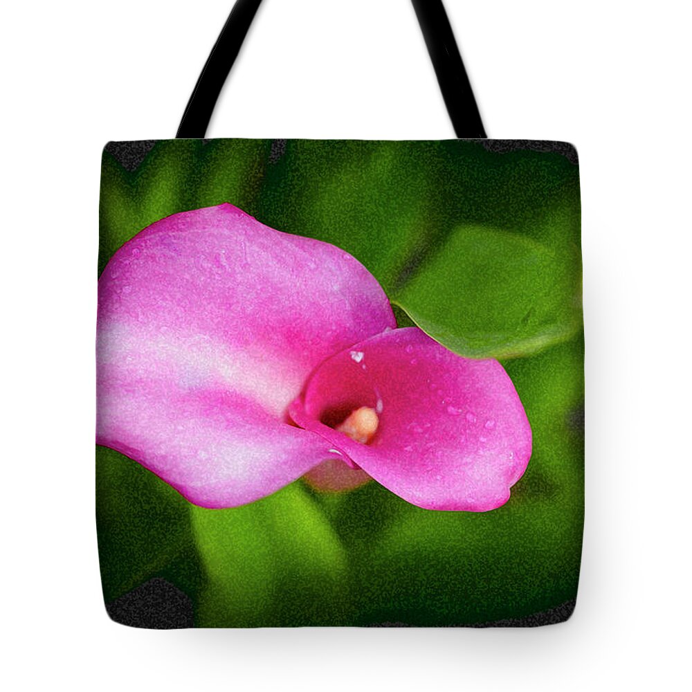 Calla Lily Tote Bag featuring the photograph Pink Calla Lily by Crystal Wightman