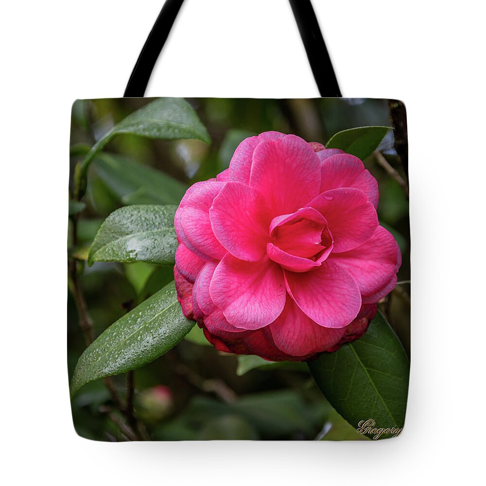 Ul Tote Bag featuring the photograph Pink Camelia 02 by Gregory Daley MPSA