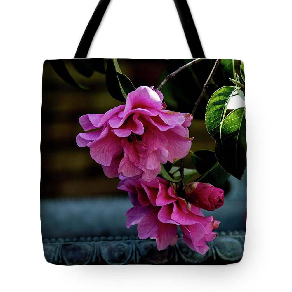 Pink Tote Bag featuring the photograph Filoli Pink Camellia by Patricia Dennis