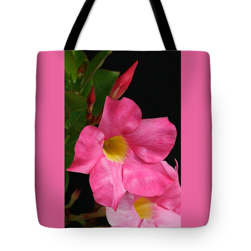 Pink Tote Bag featuring the photograph Pink Clock Vine Flower by Tammy Pool