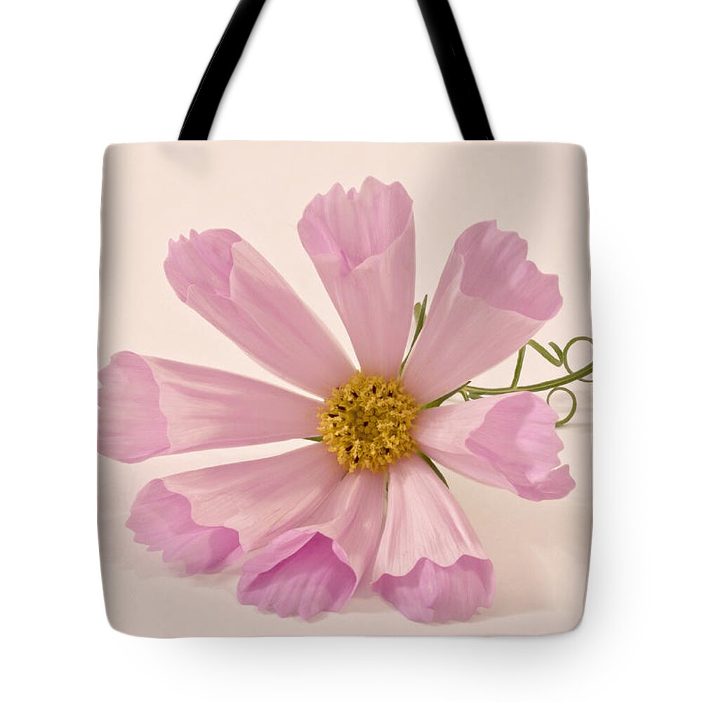 Pink Flower Tote Bag featuring the photograph Pink Cosmo - Sea Shell Macro by Sandra Foster