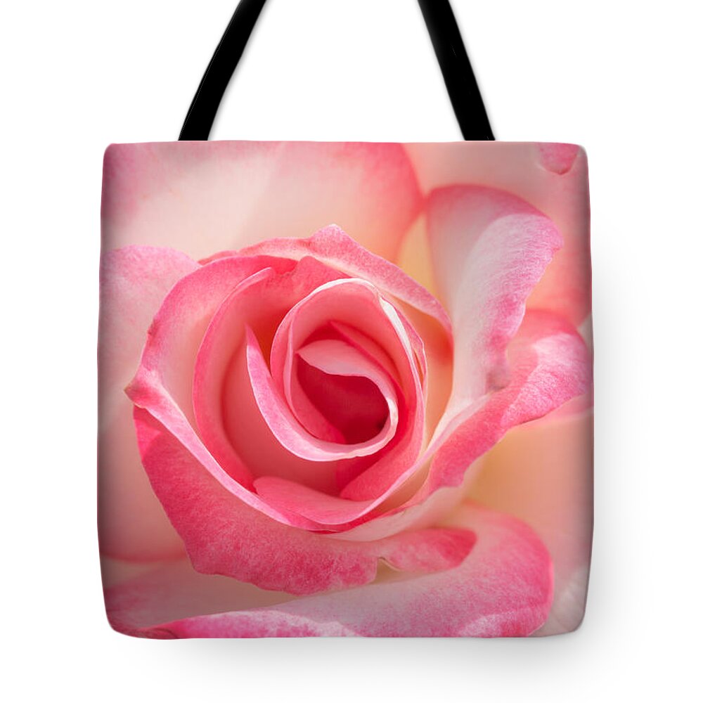 Pink Tote Bag featuring the photograph Pink Cotton Candy Rose by Ana V Ramirez