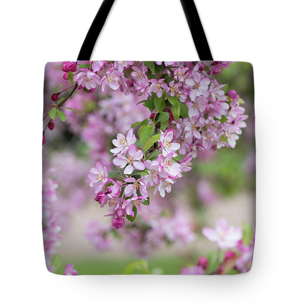 Apple Tote Bag featuring the photograph Pink Apple Blossom by Tim Gainey