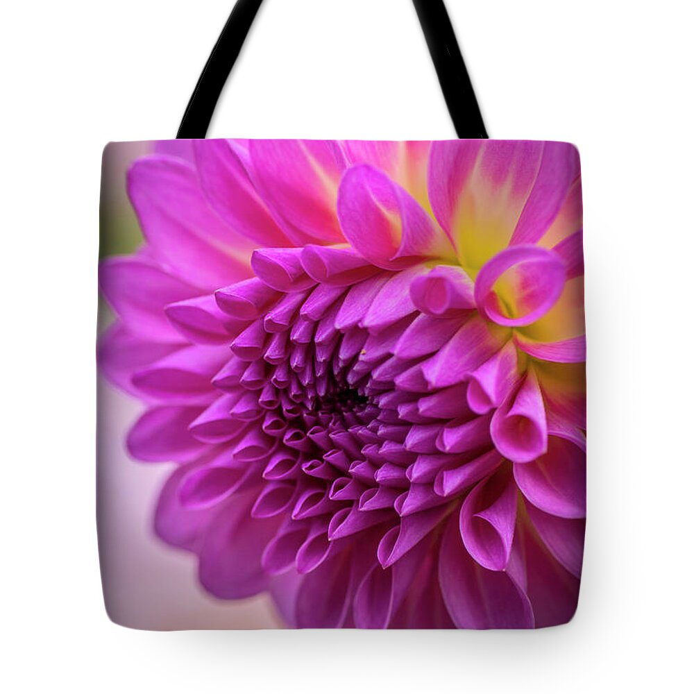Flower Tote Bag featuring the photograph Pink Dahlia by Sal Ahmed