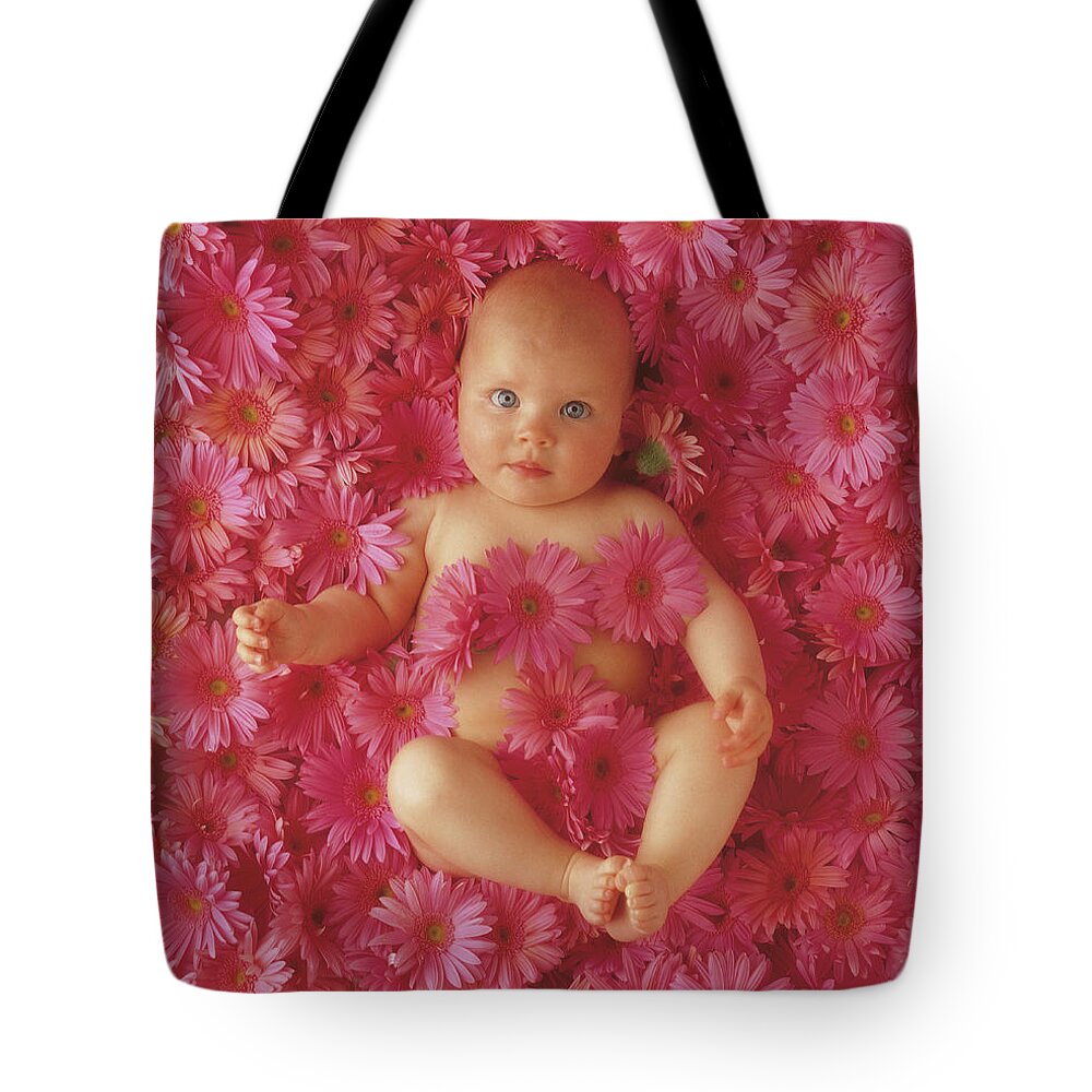 Daisies Tote Bag featuring the photograph Pink Daisies by Anne Geddes