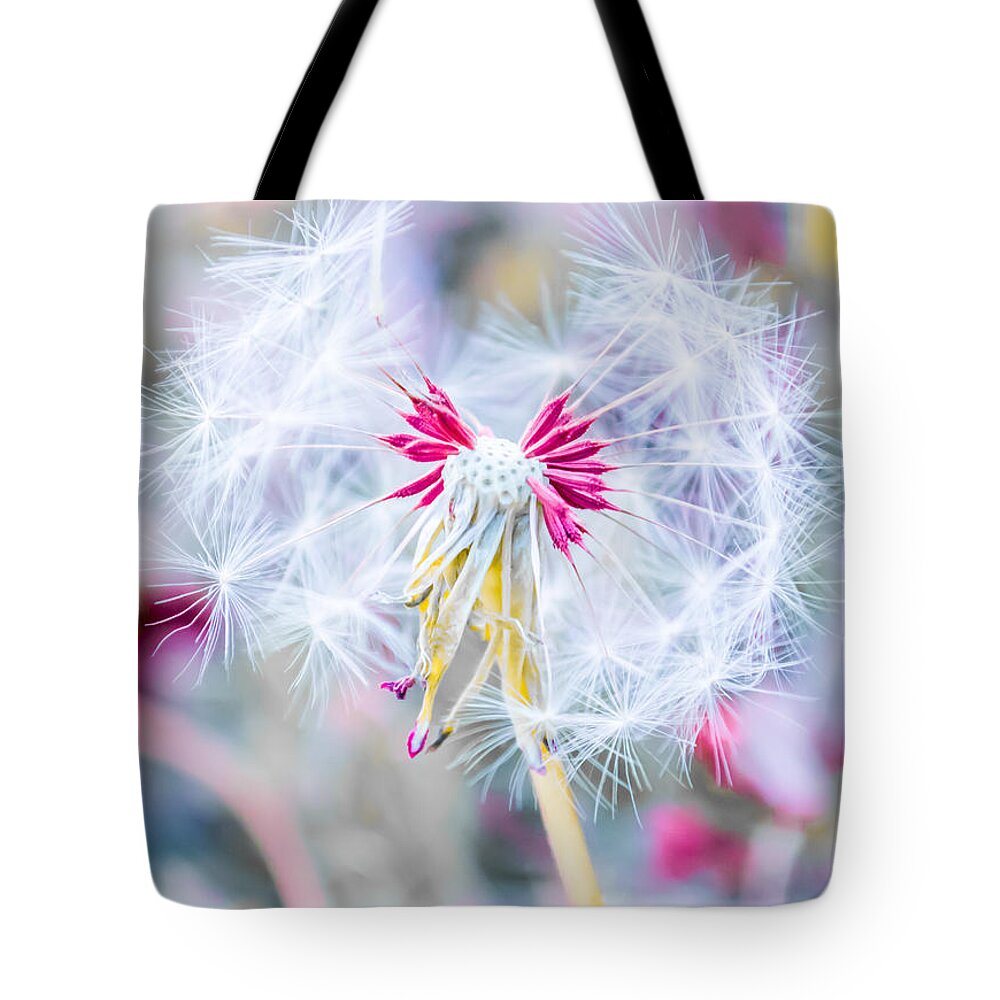 Pink Tote Bag featuring the photograph Pink Dandelion by Parker Cunningham
