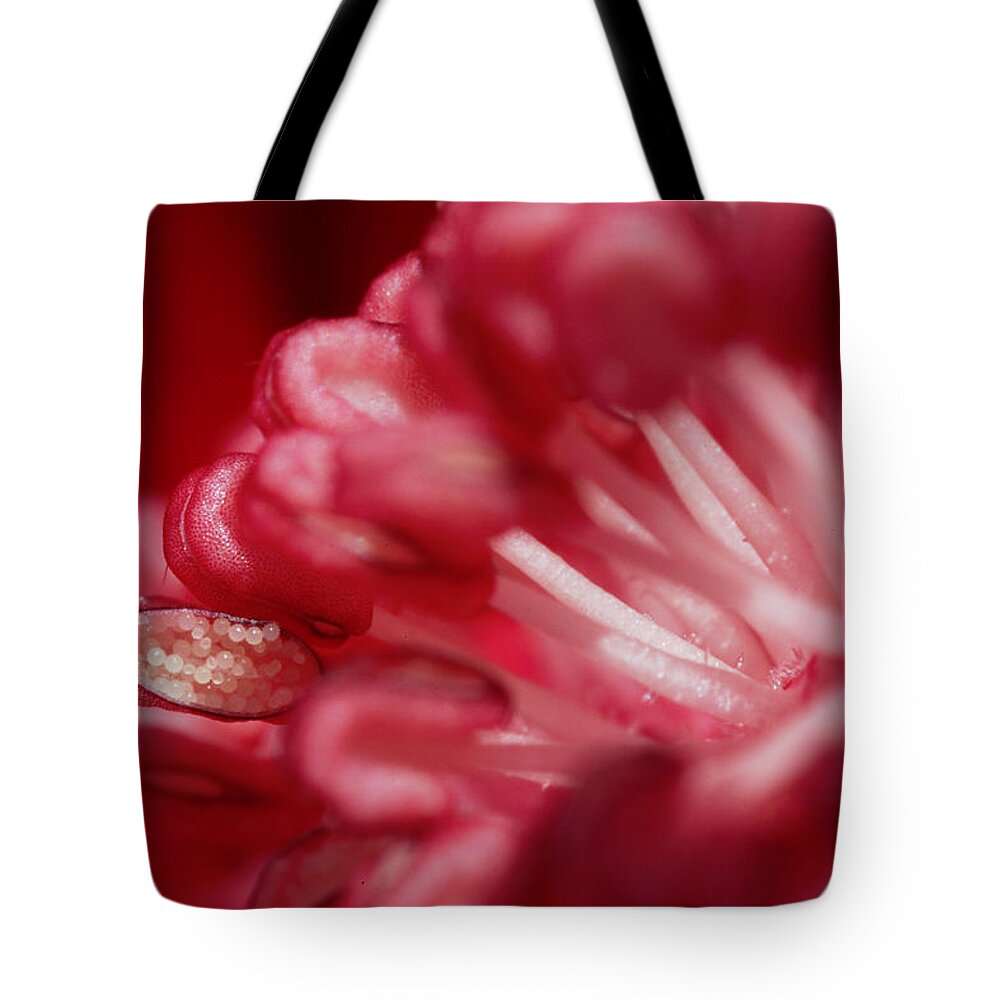 Flower Tote Bag featuring the photograph Pink Delight by Robert Och