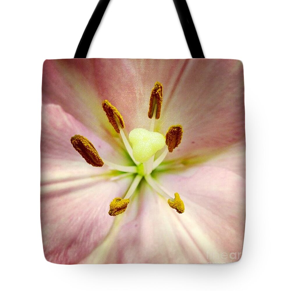 Lily Tote Bag featuring the photograph Pink by Denise Railey