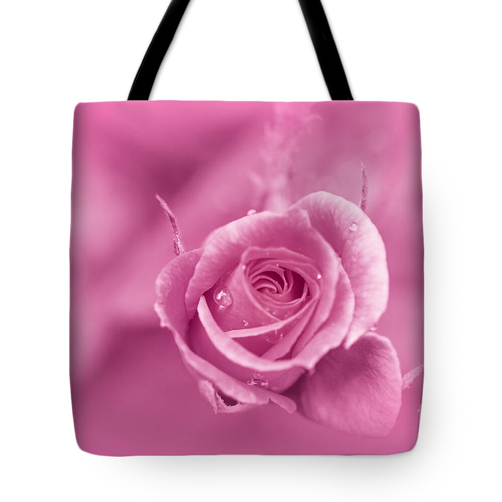 Roses Tote Bag featuring the photograph Pink Dream by Charuhas Images