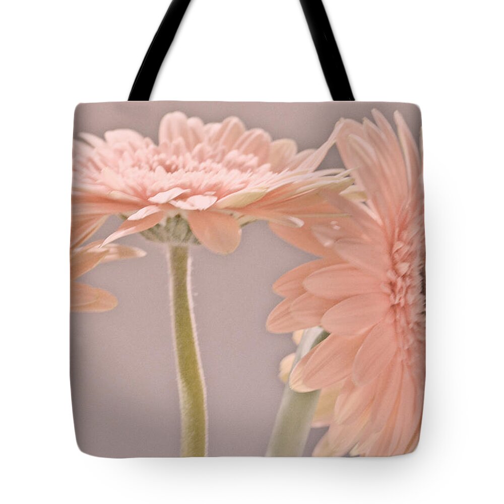 Pink Tote Bag featuring the photograph Pink Dreams by Traci Cottingham