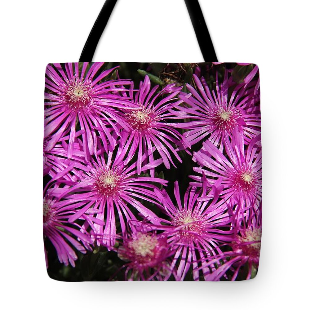 Firework Tote Bag featuring the photograph Pink firework by Yumi Johnson