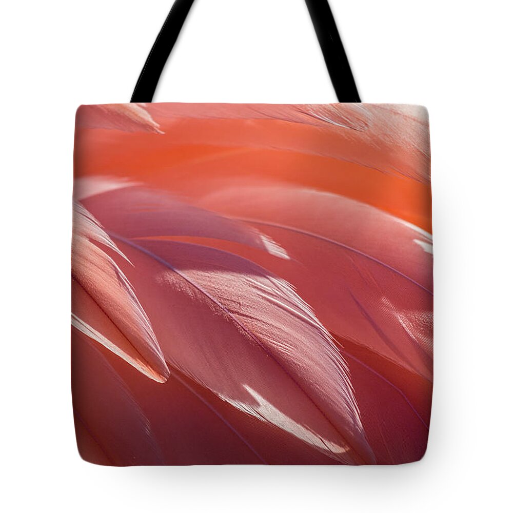 Abstract Tote Bag featuring the photograph Pink Flamingo by Holly Ross