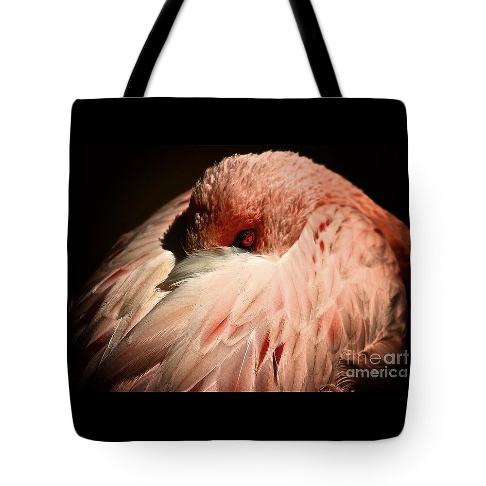 Birds Tote Bag featuring the photograph Pink Flamingo I'll Be Watching You by Gus McCrea