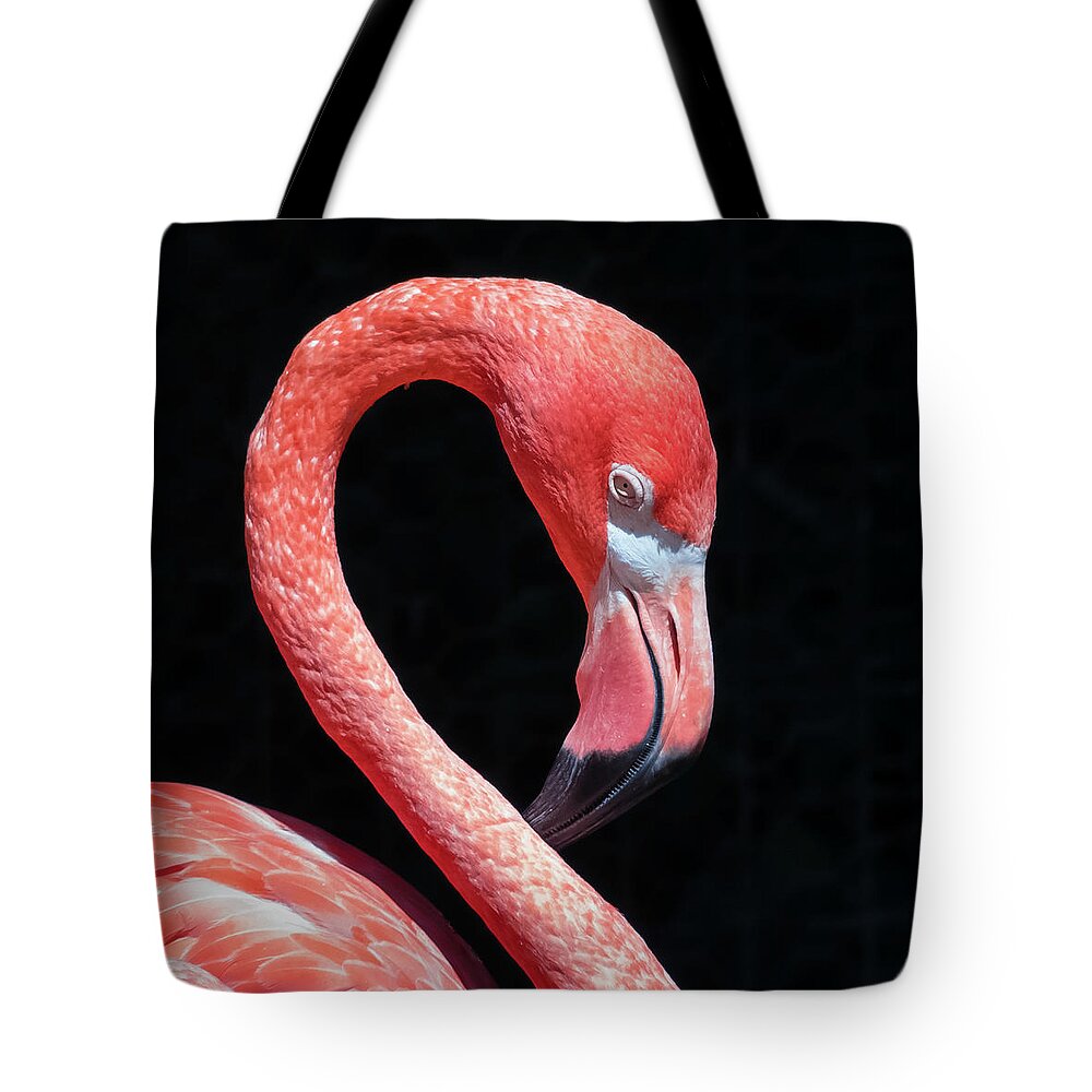 Pink Flamingo Tote Bag featuring the photograph Pink Flamingo by Robert Bellomy