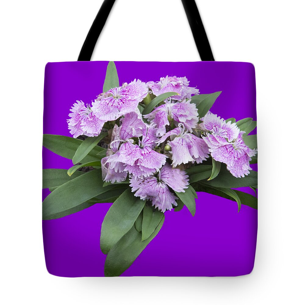 Plant Tote Bag featuring the photograph Pink Floral Cutout by Linda Phelps