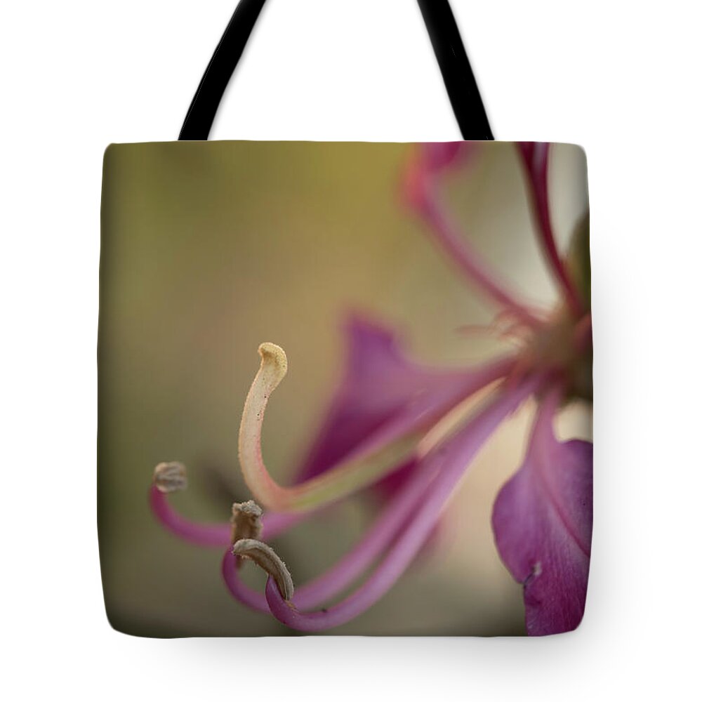  Tote Bag featuring the photograph Pink Flower by Akhil Suri