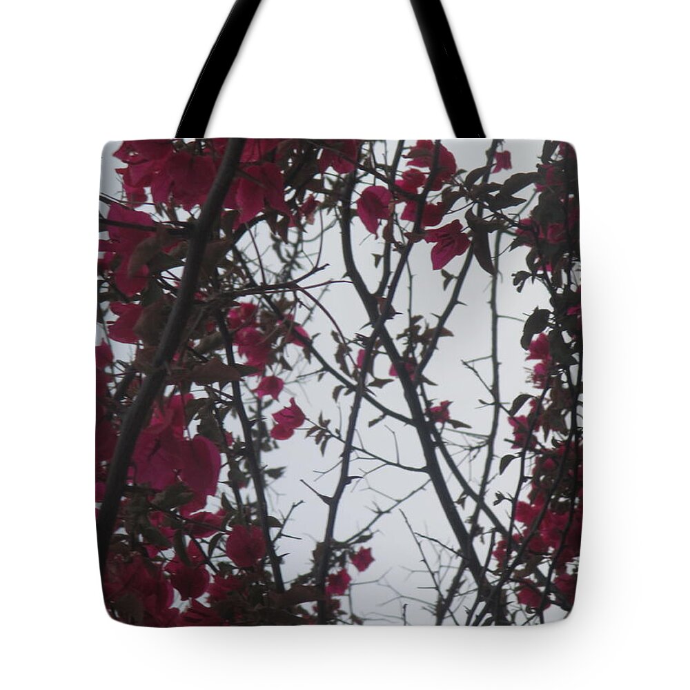 Flowers Tote Bag featuring the photograph Pink flowers by Anamarija Marinovic