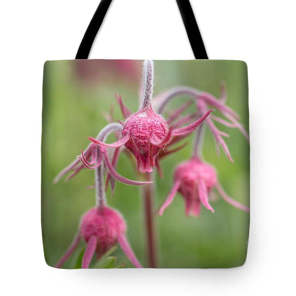 Colorado Tote Bag featuring the photograph Pink Fuzz 1 by Ashley M Conger