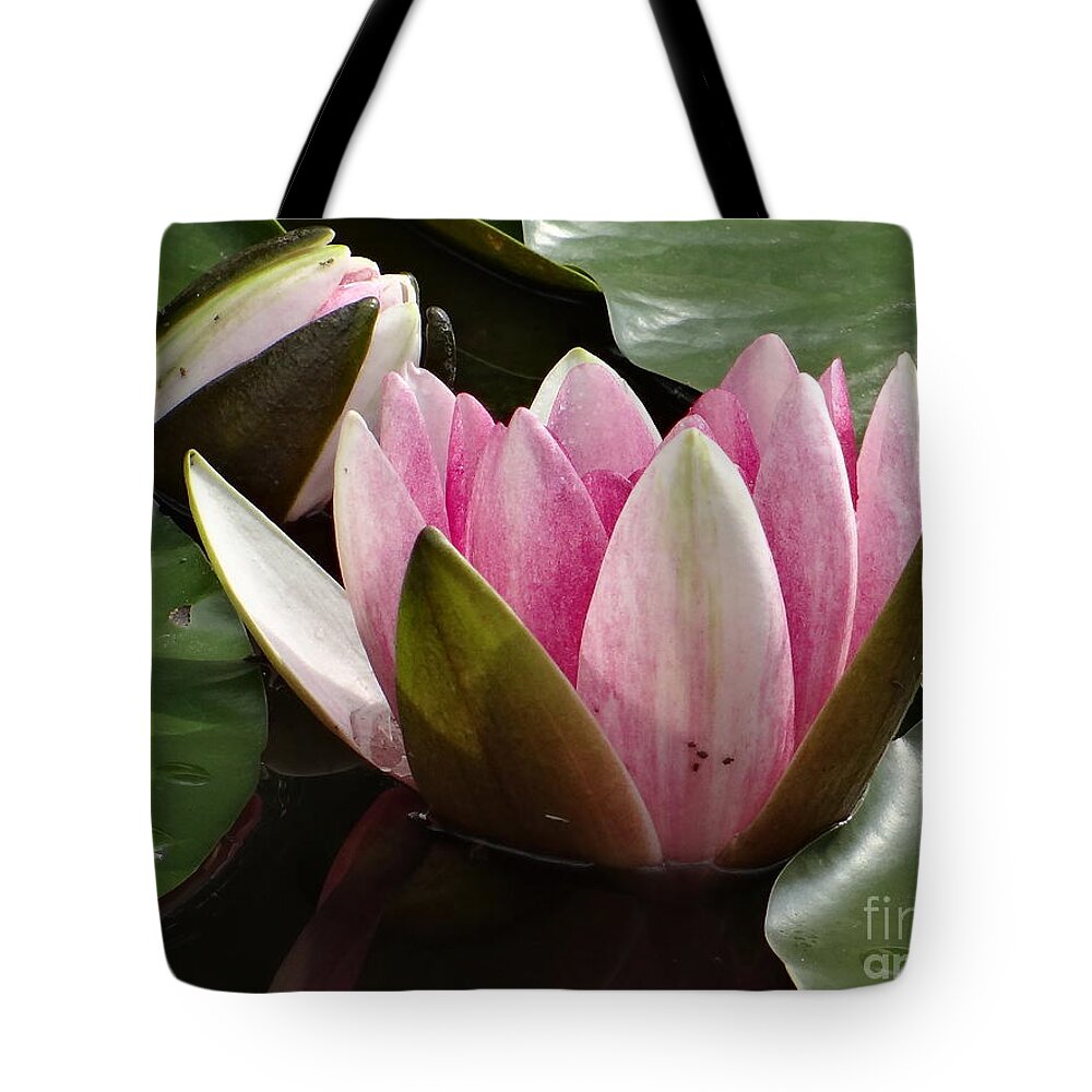 Flower Tote Bag featuring the photograph Pink Harmony by Karin Ravasio