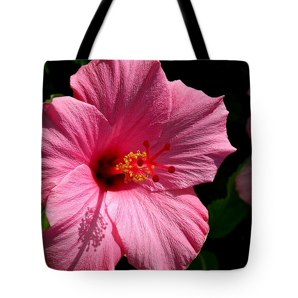 Hibiscus Tote Bag featuring the photograph Pink Hibiscus 2 by David Weeks