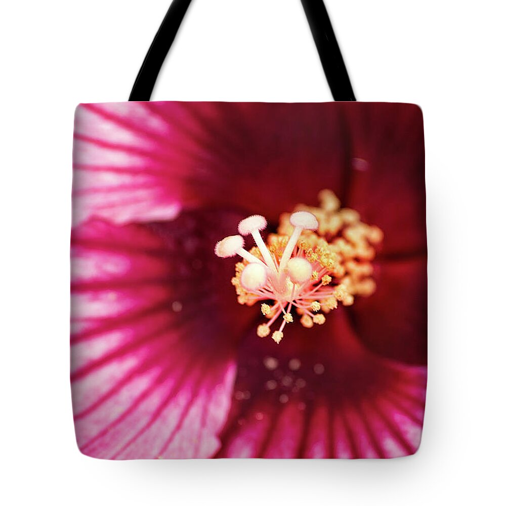 Hibiscus Tote Bag featuring the photograph Pink Hibiscus-Inside by Don Johnson
