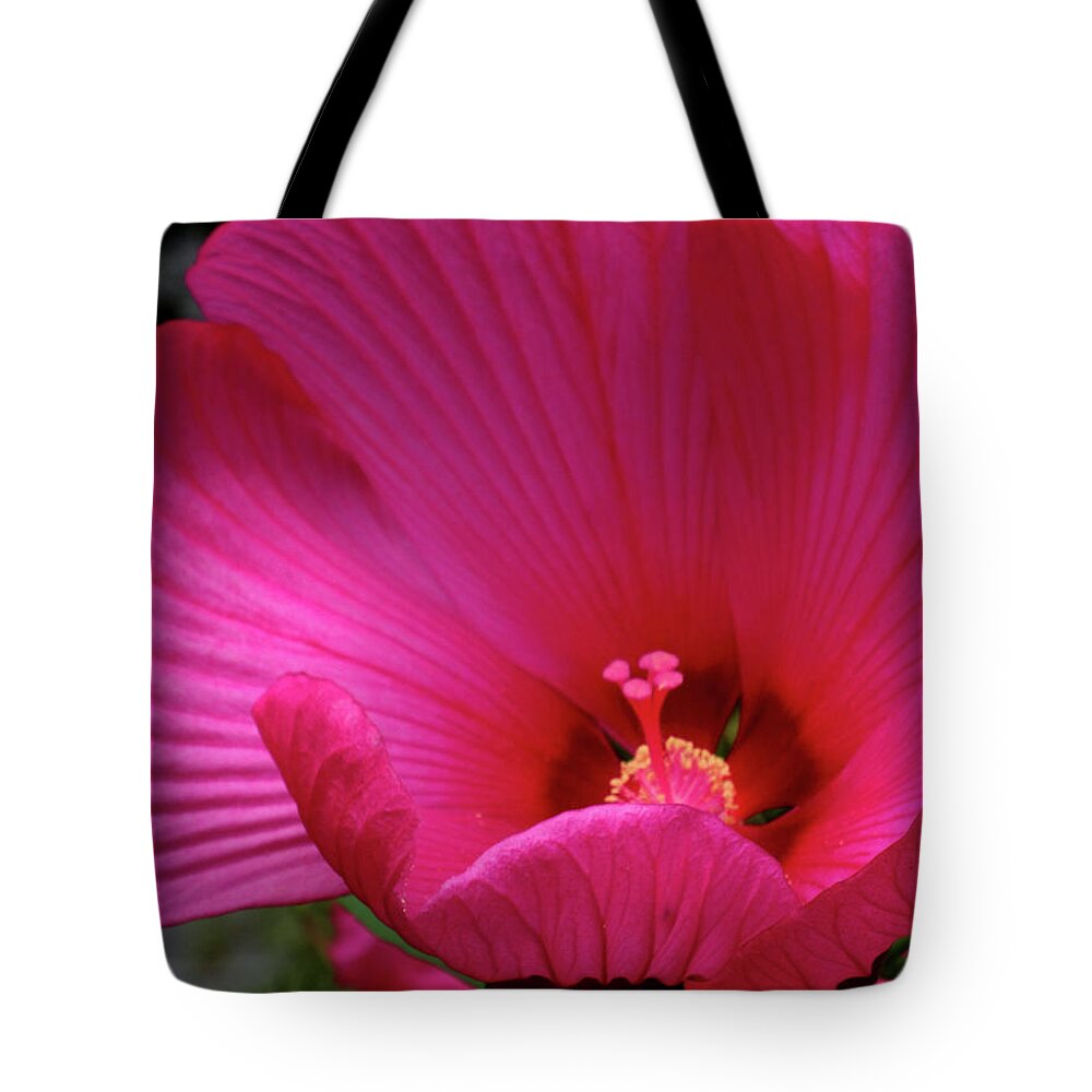 Floral Tote Bag featuring the photograph Pink Hibiscus by Mikki Cucuzzo