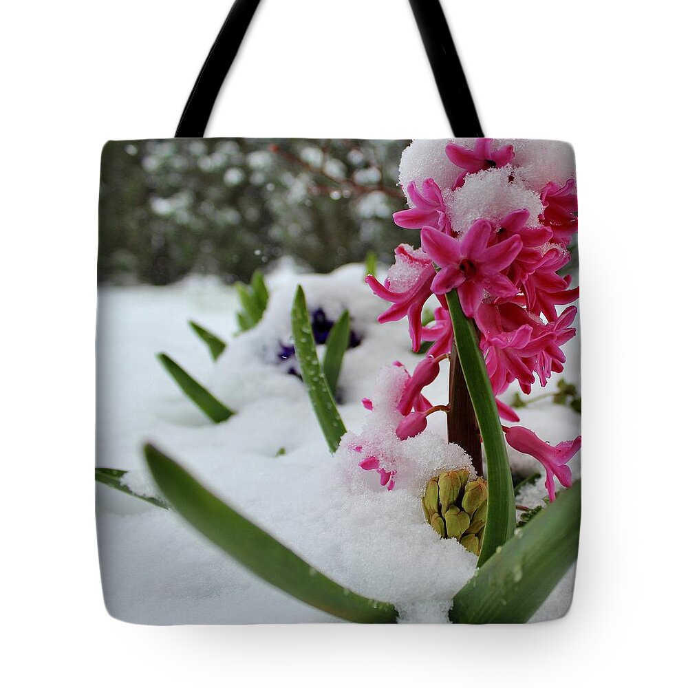 Photography Tote Bag featuring the photograph Pink Hyacinth Snowed Over Like the Evergreen Trees by M E